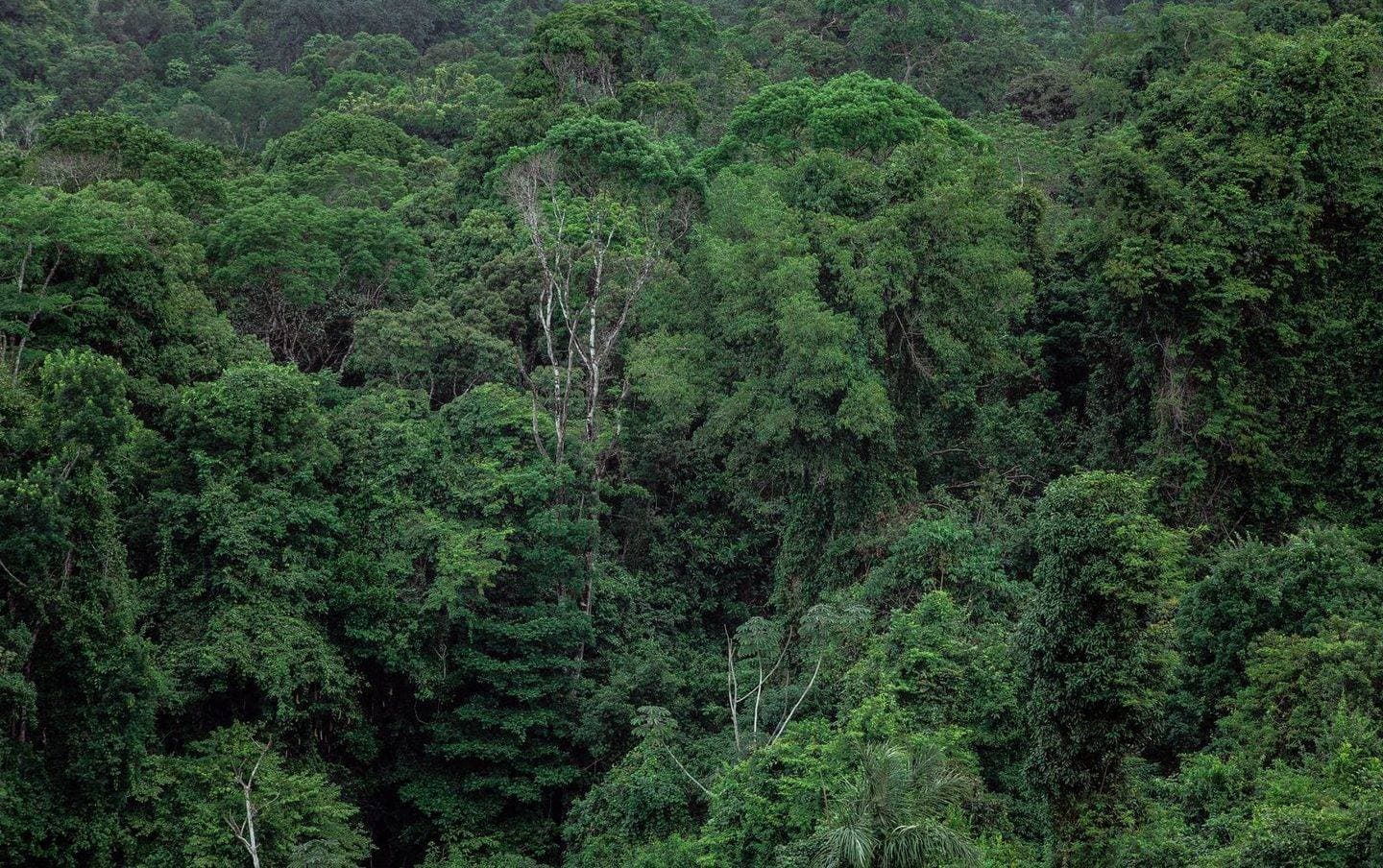 Medio ambiente