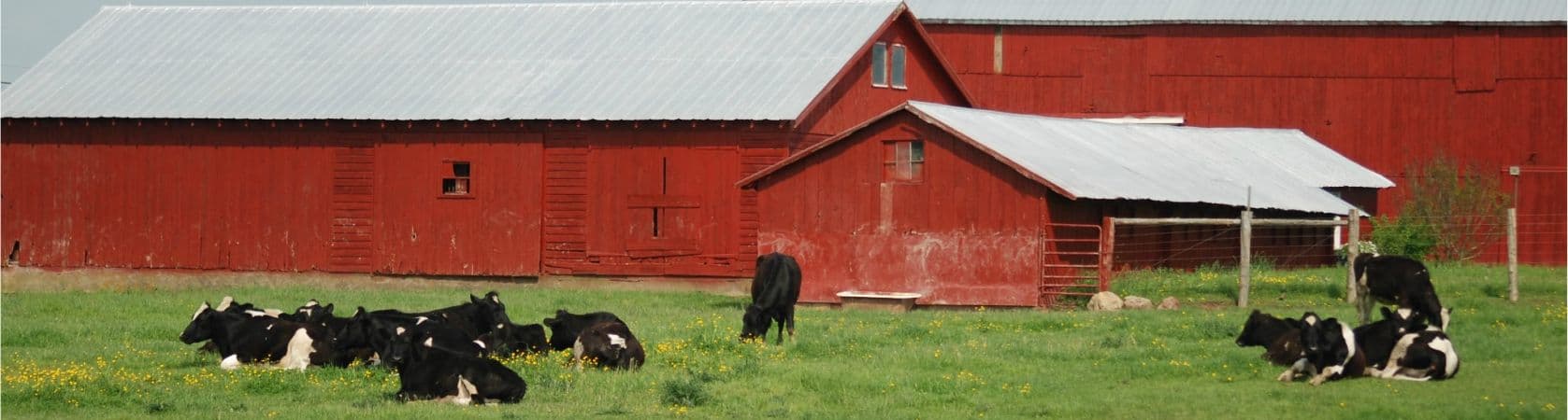 SEGURIDAD ALIMENTARIA